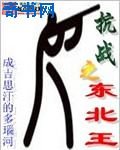抗戰之東北王