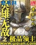 英雄无敌之极品领主