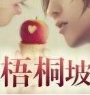 诗一样的小说——梧桐坡
