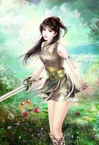 將軍攻略